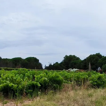 Semesterbostad Jolie Maison Avec Exterieur