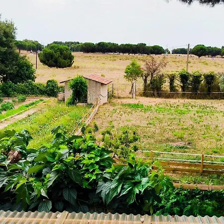 Jolie Maison Avec Exterieur